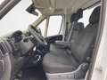 Fiat Ducato Maxi 35 LH1 cabinato 2.2 mjt3 140cv Blanc - thumbnail 9