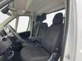 Fiat Ducato Maxi 35 LH1 cabinato 2.2 mjt3 140cv Blanc - thumbnail 13