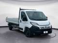 Fiat Ducato Maxi 35 LH1 cabinato 2.2 mjt3 140cv Blanc - thumbnail 7