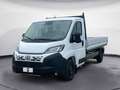 Fiat Ducato Maxi 35 LH1 cabinato 2.2 mjt3 140cv Blanc - thumbnail 1