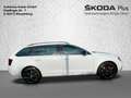 Skoda Octavia Combi 2.0 Schaltgetriebe - RS Alb - thumbnail 6