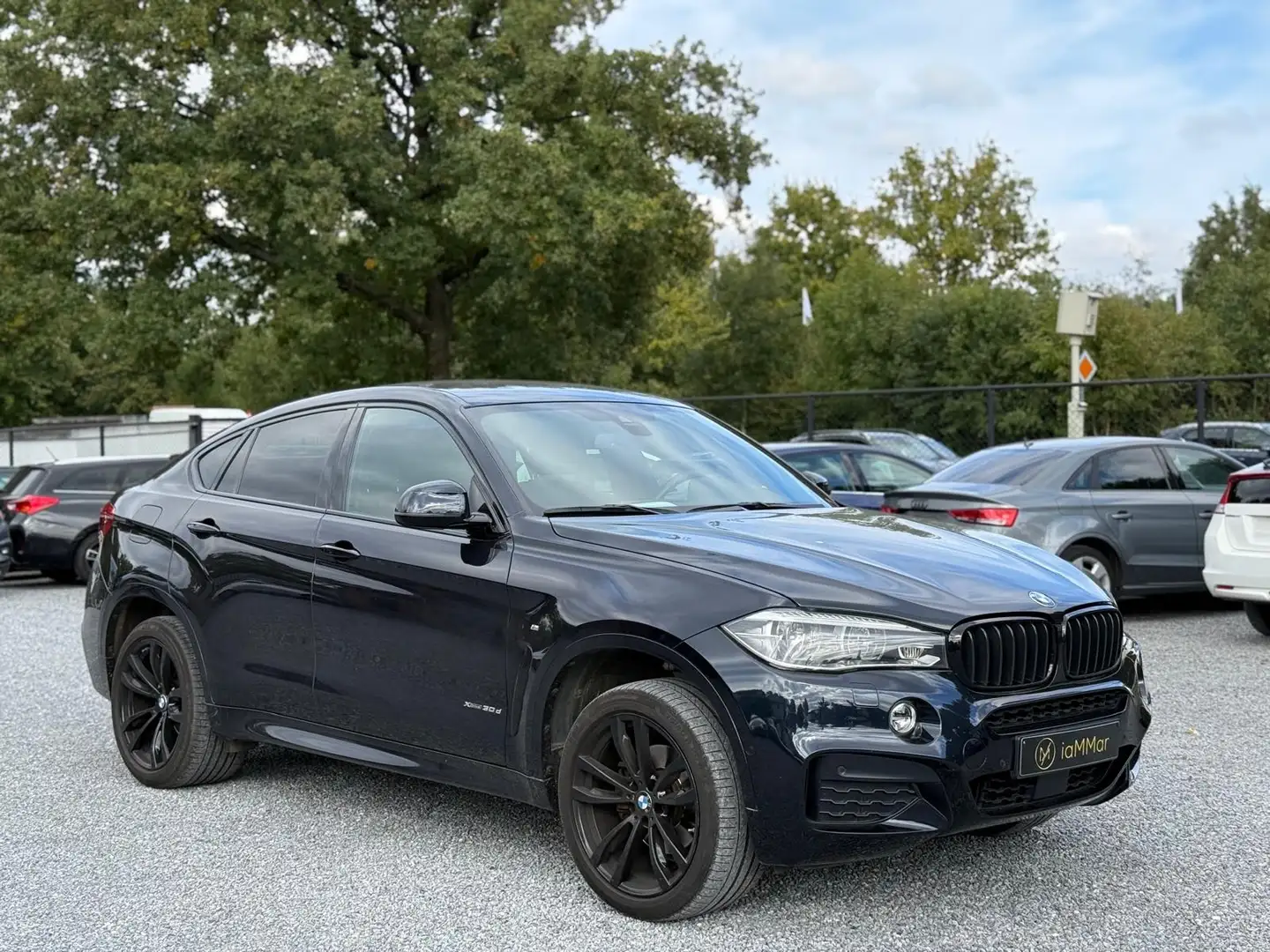 BMW X6 X6 xDrive30d Noir - 2