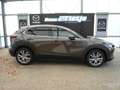 Mazda CX-30 Selection 2WD*AHK abn.*GJR*Kamera Braun - thumbnail 3