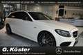 Mercedes-Benz C 43 AMG AMG C 43 T 4Matic Navi/Standheizung/Autom./Klima Wit - thumbnail 4