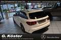Mercedes-Benz C 43 AMG AMG C 43 T 4Matic Navi/Standheizung/Autom./Klima Wit - thumbnail 7
