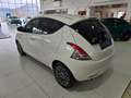 Lancia Ypsilon MY16 Ypsilon 1.3MJT 95CV Gold Bianco - thumbnail 5