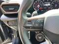CUPRA Formentor VZ 2.0 TSI DSG 4Drive Navi Panoramadac Grau - thumbnail 12