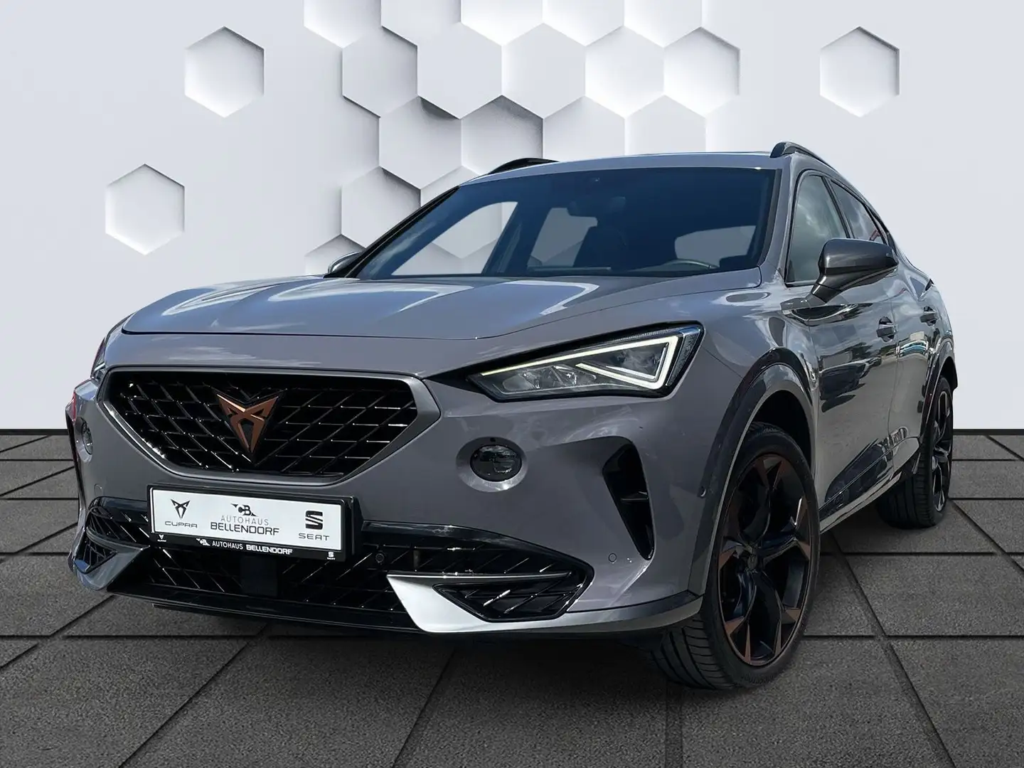 CUPRA Formentor VZ 2.0 TSI DSG 4Drive Navi Panoramadac Grau - 1