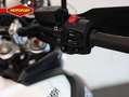Triumph Tiger 800 XCX Wit - thumbnail 11