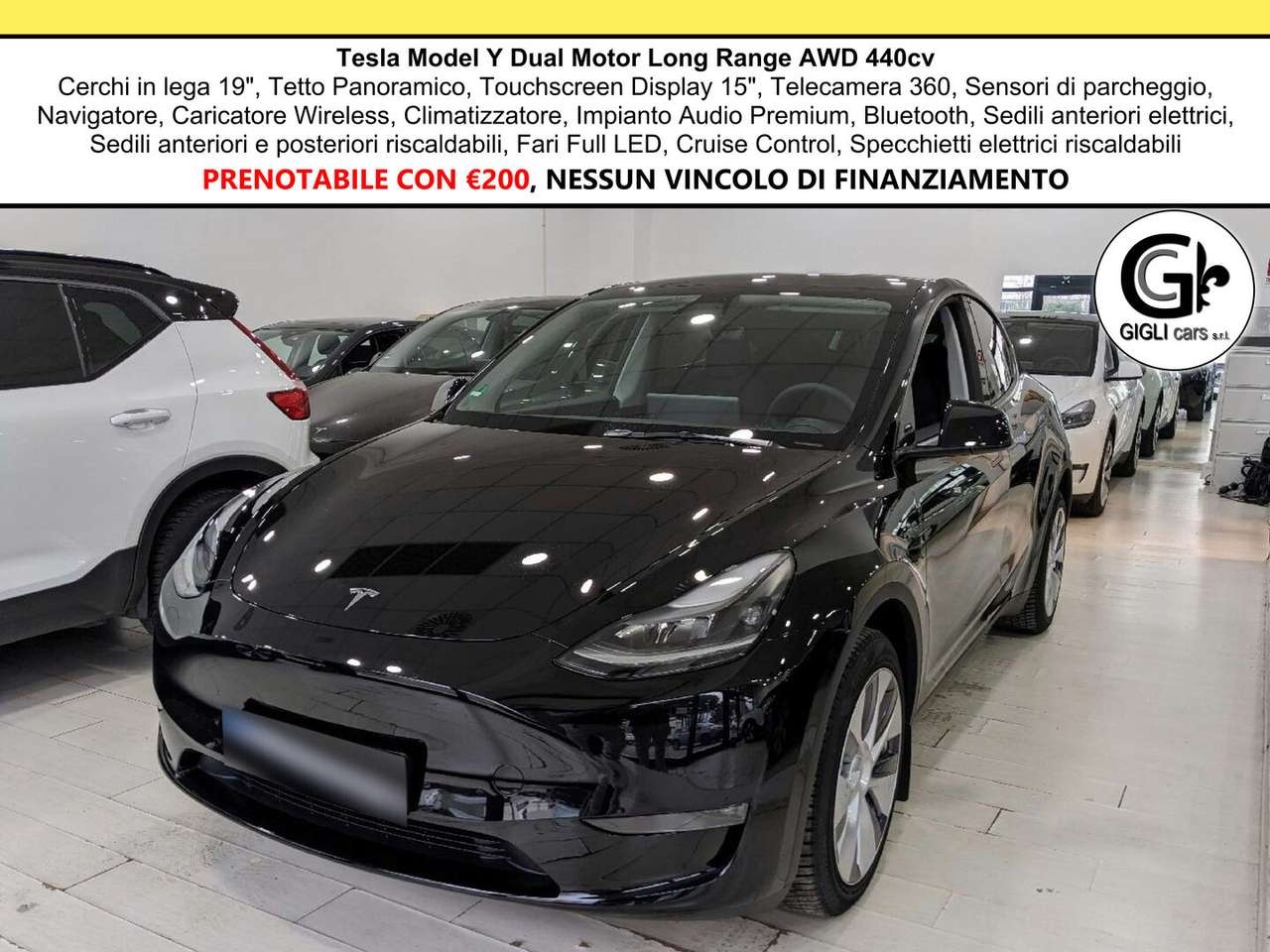 Tesla Model Y 440 cv Long Range Dual Motor Tetto Cruise adattivo