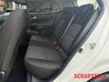 Kia Picanto Vision 1.0 Automatik Navi Carplay Sitzheizung Kame Blanc - thumbnail 15