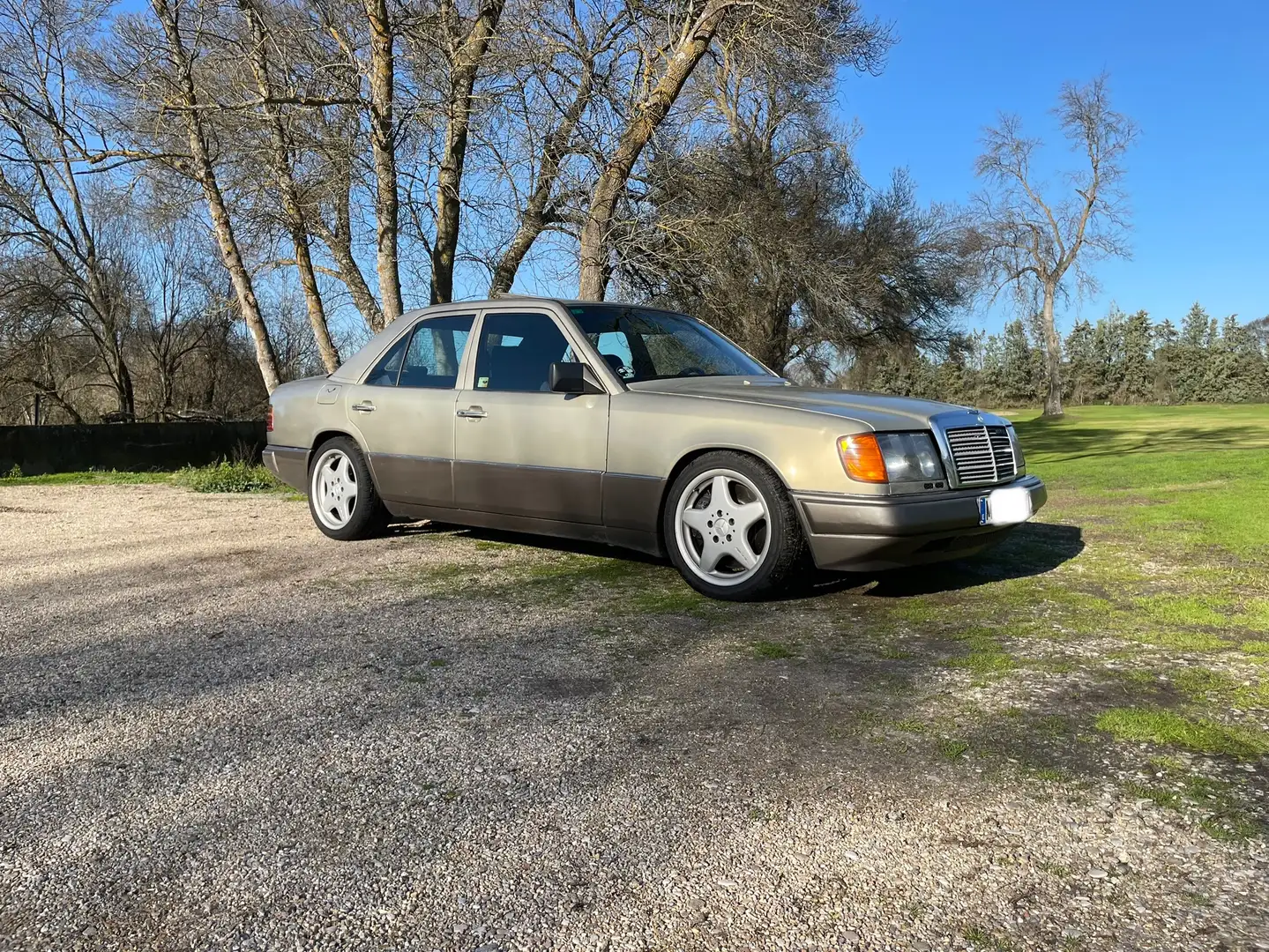 Mercedes-Benz W124 6.0 V12 Oro - 1