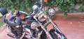 Harley-Davidson Sportster 1200 2008  XL1200L Negru - thumbnail 4