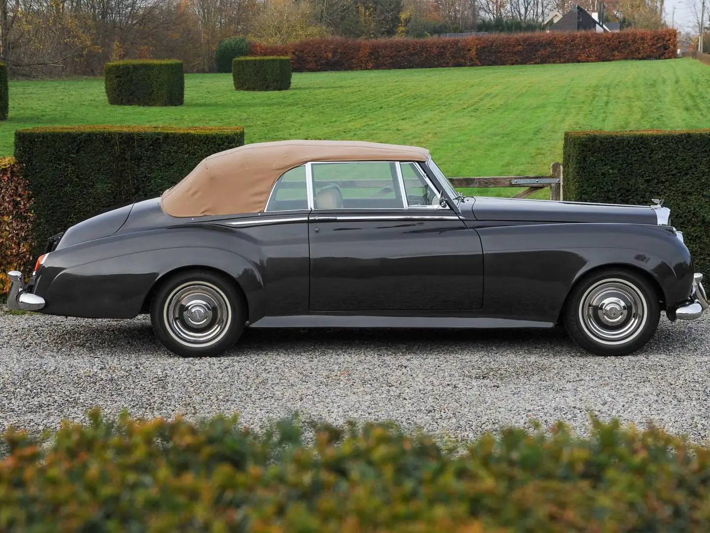 Bentley S1 Drophead Coupe Grau - 2