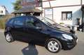 Mercedes-Benz B 160 Klima-Allwetter-PDC-Sitzheizung-Navi-AHK Negro - thumbnail 13