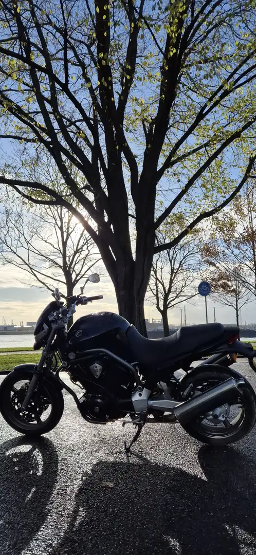 Yamaha BT 1100 Bulldog Black - 2