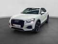 Audi Q2 35 TFSI ADVANCED LM19 KAMERA AHK MATRIX Weiß - thumbnail 2