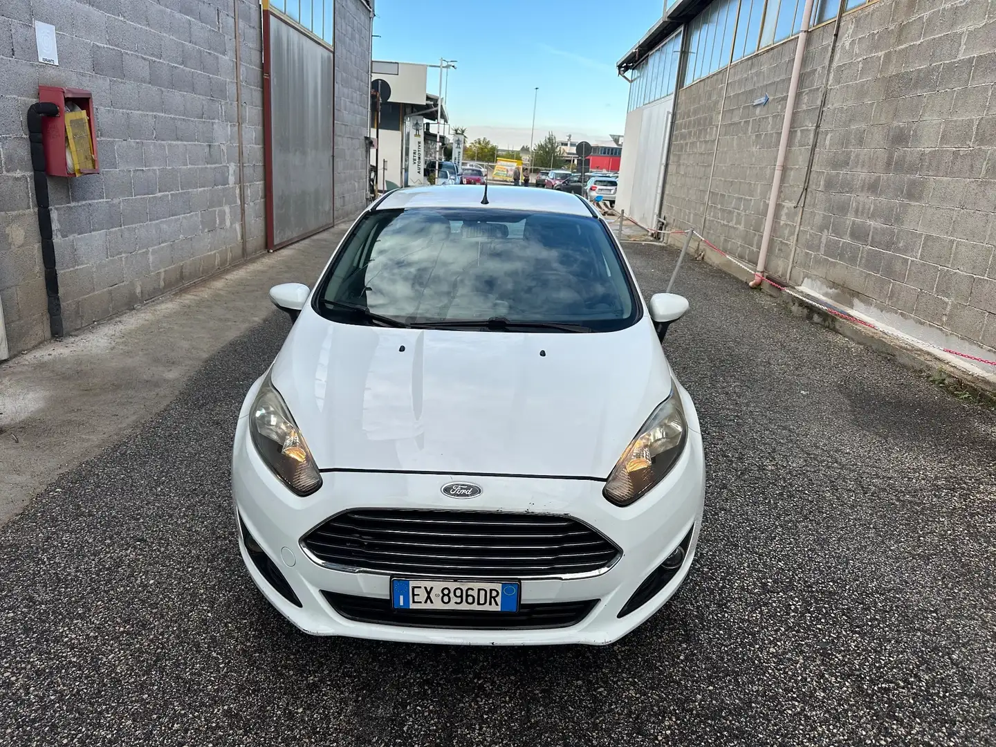 Ford Fiesta Fiesta 1.0 80CV 5 porte Titanium Bianco - 2