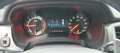 Ford Ranger Ranger 4x4 TDCi 2,0 l TDCi Panther Autm. Raptor Blau - thumbnail 16