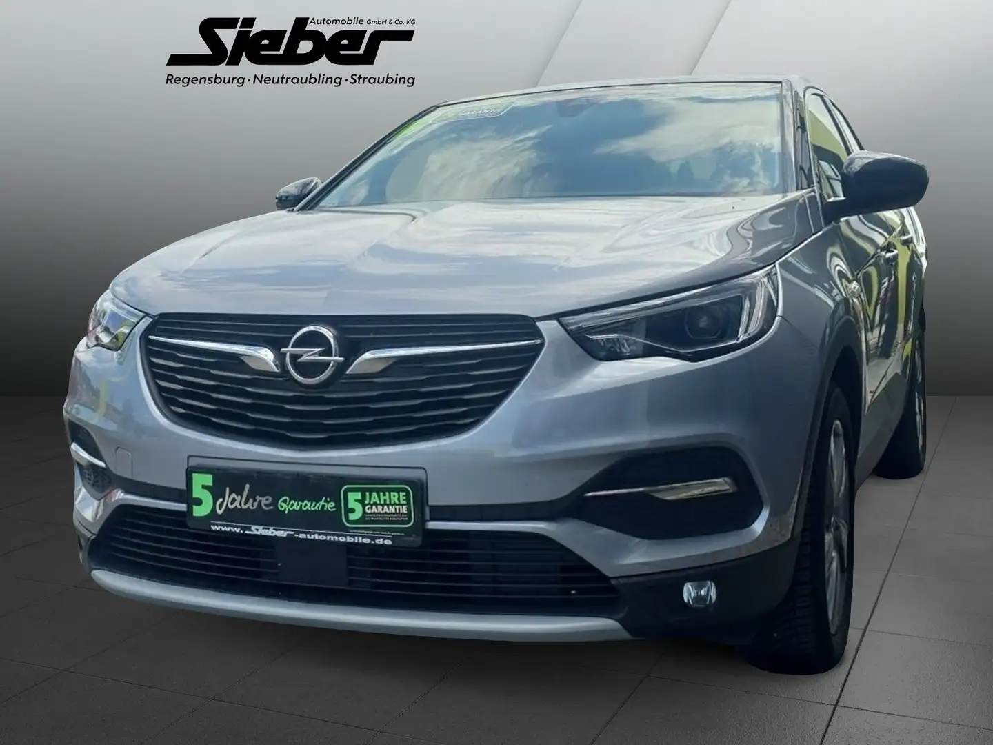 Opel Grandland 1.2 Turbo INNOVATION *Navigation**AHK* Grijs - 2
