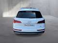 Audi Q5 50 TFSI e quattro Weiß - thumbnail 5