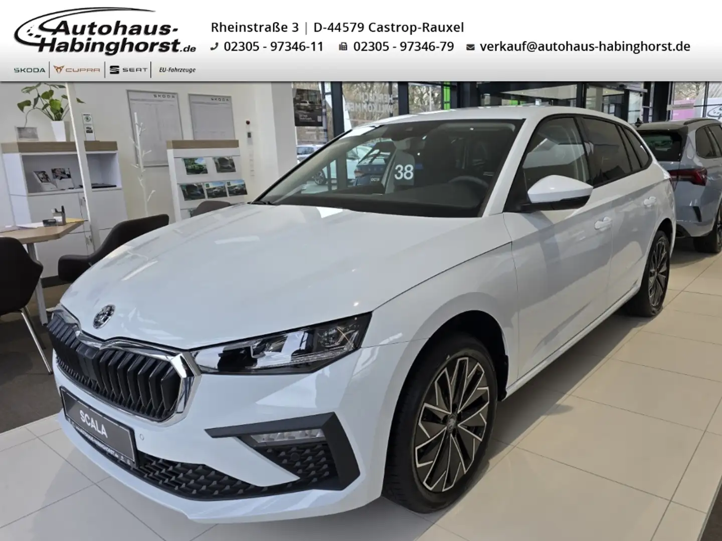 Skoda Scala 1.0 TSI DSG Tour Kamera Navi Matrix SmartLink SunS Weiß - 1