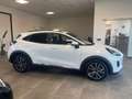 Ford Puma Puma 1.0 EcoBoost Hybrid 125 CV S&S Titanium Bianco - thumbnail 5