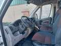 Fiat Ducato Kasten 30 100 Weiß - thumbnail 13