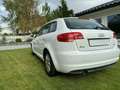 Audi A3 Sportback 1.6 TDI 105 DPF Advanced Edition Plus - thumbnail 3