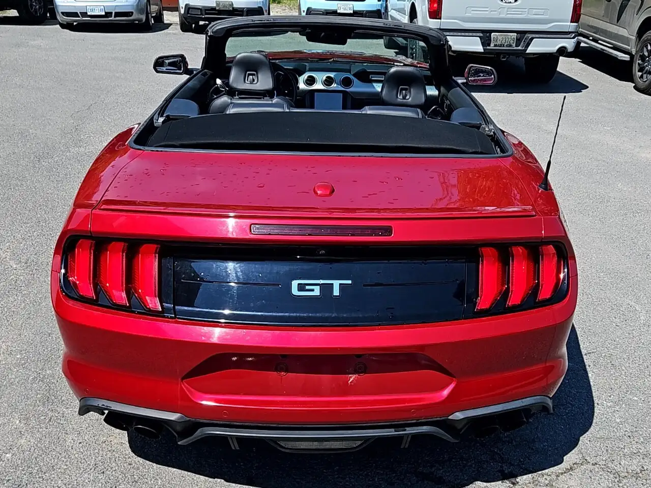 Ford Mustang fotografie Ford Mustang
