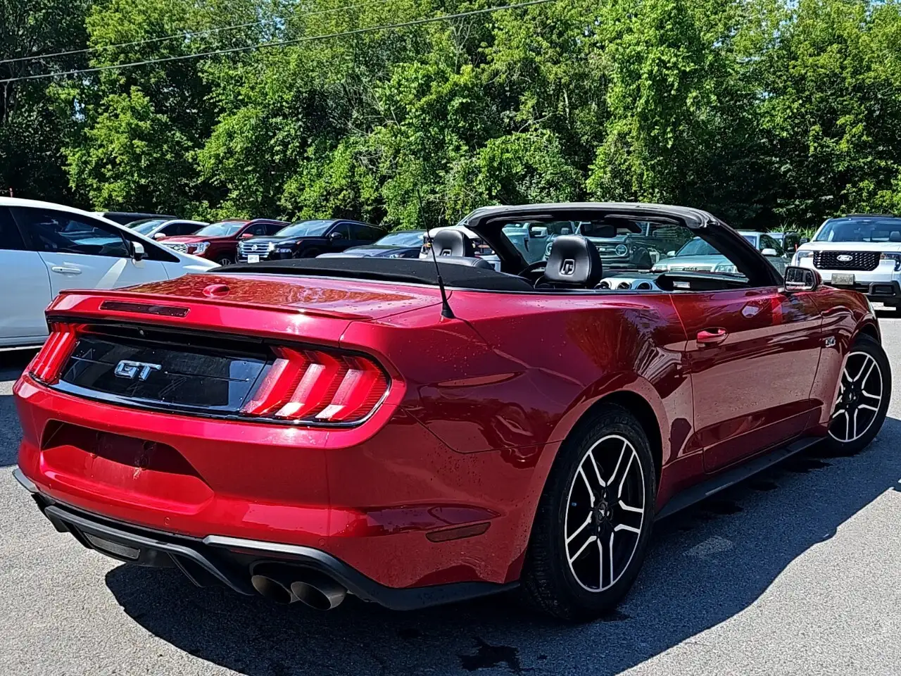 Ford Mustang fotografie Ford Mustang