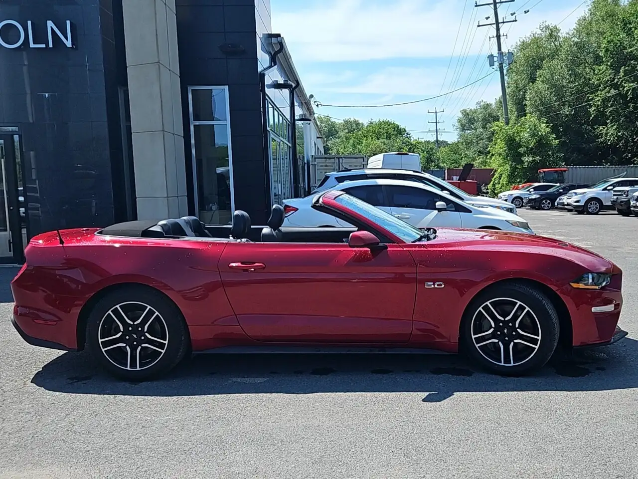 Ford Mustang fotografie Ford Mustang