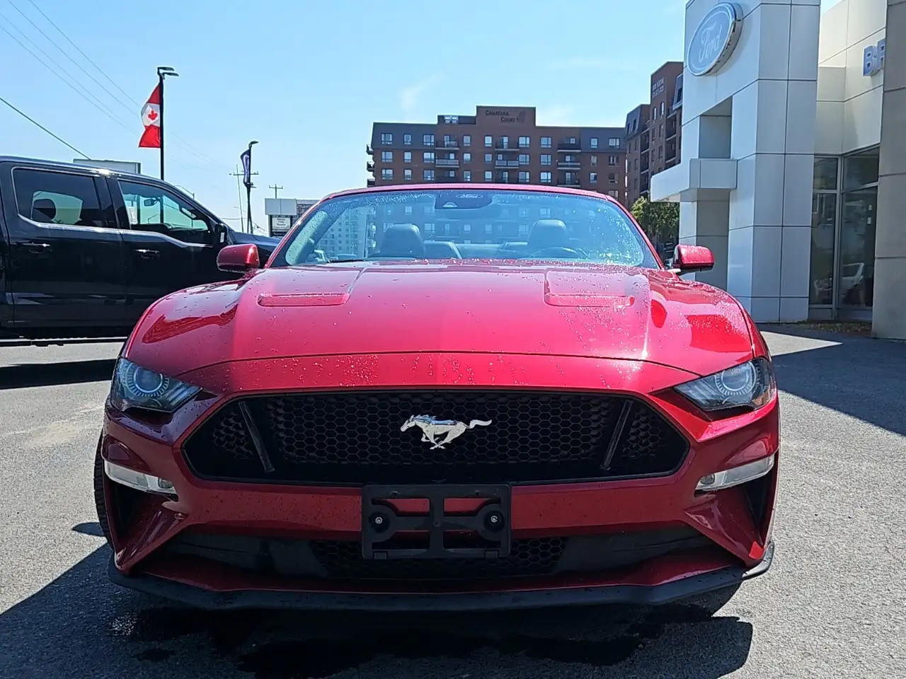 Ford Mustang fotografie Ford Mustang