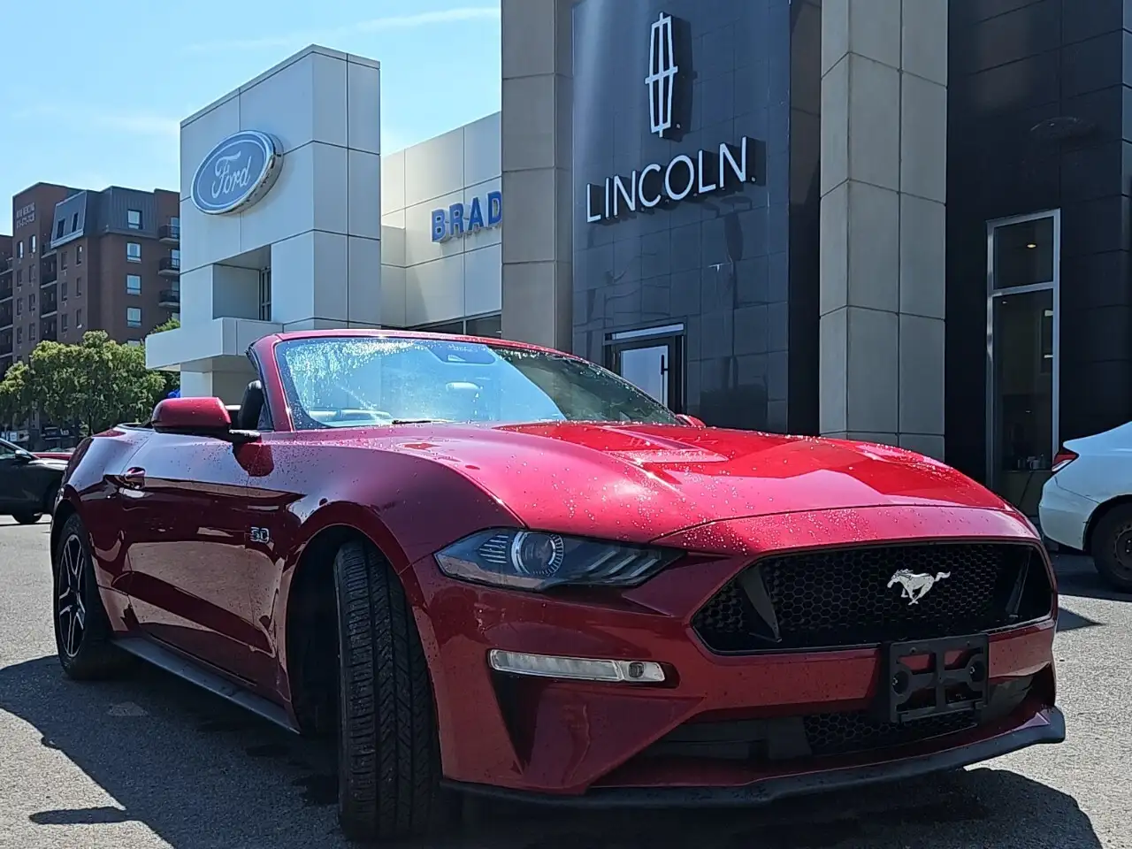 Ford Mustang fotografie Ford Mustang