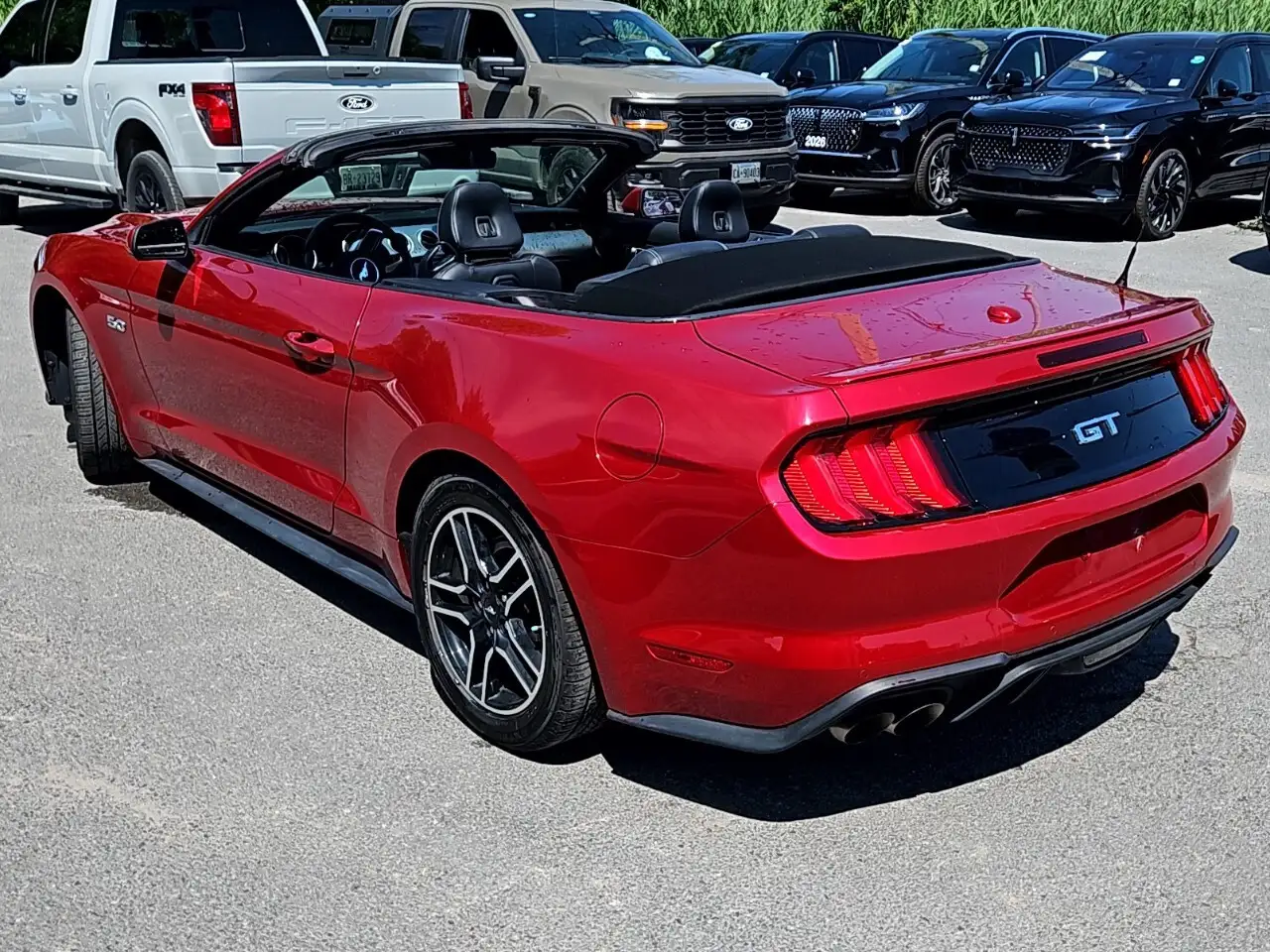 Ford Mustang fotografie Ford Mustang
