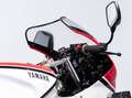 Yamaha RD 500 YAMAHA RD 500 Rosso - thumbnail 15