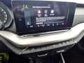 Skoda Octavia Lim. 2.0 TDI Ambition DSG LED Sitzhzg Klimaauto Gris - thumbnail 11