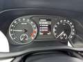 Skoda Octavia Lim. 2.0 TDI Ambition DSG LED Sitzhzg Klimaauto Gris - thumbnail 12