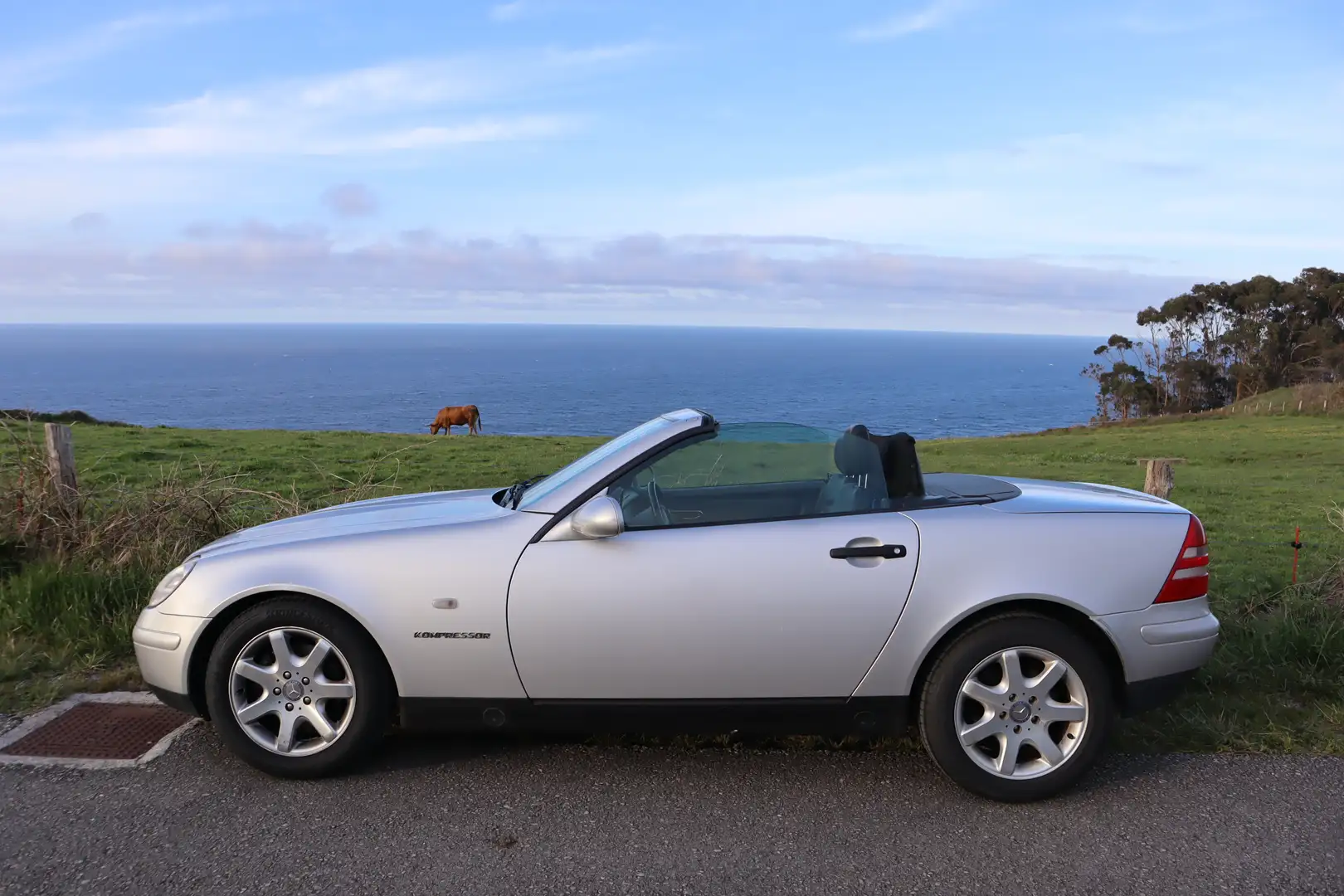 Mercedes-Benz SLK 230 SLK 230 K Plateado - 1