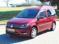 Volkswagen Caddy Life 1.4 TSI Highline Rojo - thumbnail 1