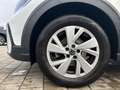 Volkswagen Taigo Life 1.0 TSI DSG Navi RearView Sitzh. CarPlay Keyl Weiß - thumbnail 9