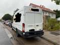 Ford Transit 350 L4 Trend ~Klima~ Weiß - thumbnail 4