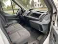 Ford Transit 350 L4 Trend ~Klima~ Weiß - thumbnail 12