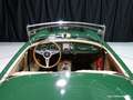 MG MGA 1500 '58 zelena - thumbnail 13