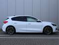 Ford Focus 155PK Hybrid ST Line X | Winter Pakket | Virtual | Wit - thumbnail 19