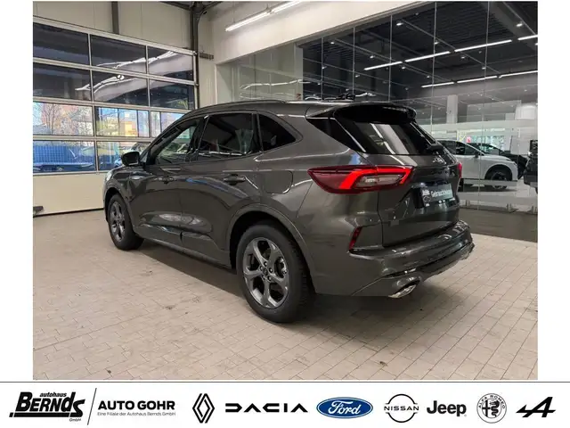 Ford Kuga view 8