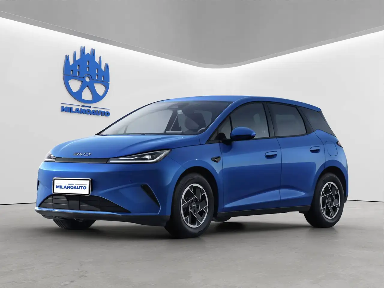 BYD Dolphin G