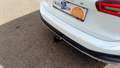 Ford Focus Turnier 1,5 EcoBlue Active X Aut. Weiß - thumbnail 18
