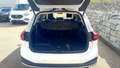 Ford Focus Turnier 1,5 EcoBlue Active X Aut. Weiß - thumbnail 17