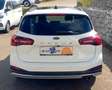 Ford Focus Turnier 1,5 EcoBlue Active X Aut. Weiß - thumbnail 5
